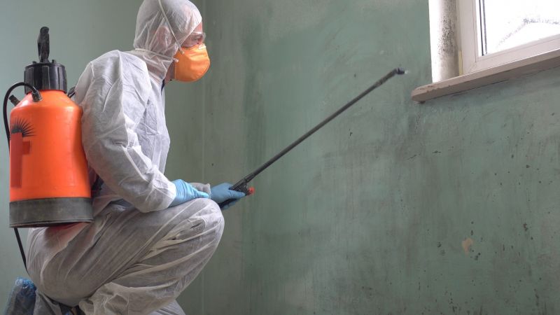Professional Mold Testing