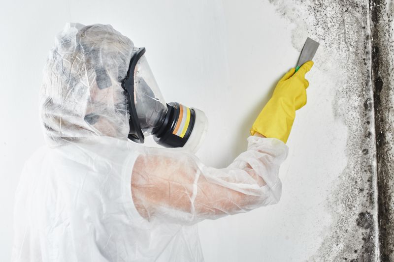 Professional Mold Testing
