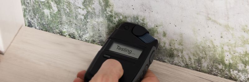 Professional Mold Testing