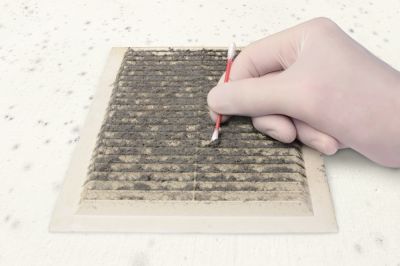 Analyze the Presence of Mold Spores!