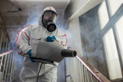 Mold Can Cause Health Problems!